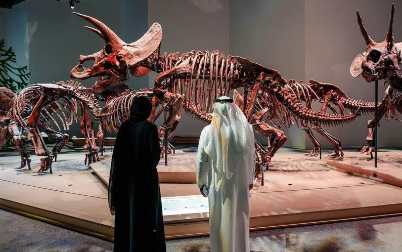 Natural History Museum