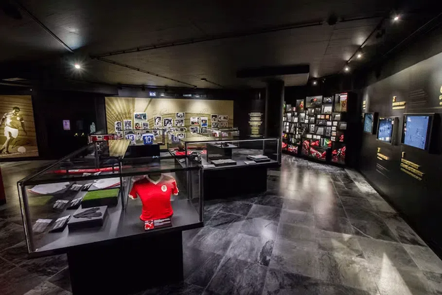 Sl Benfica Stadium And Museum Tickets And Guided Tour | Book Now | Alikeimage