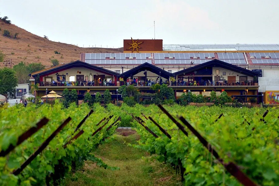 Sula Vineyards with Wine Tasting Day Tour from Mumbai | Book Now | Alikeimage