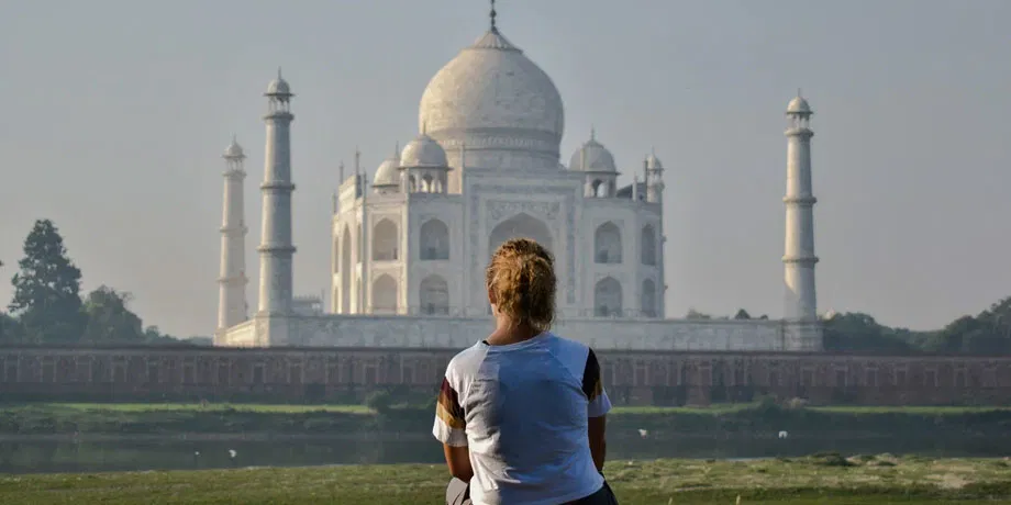 Taj Tour and Tiger Safari | Book Now | Alikeimage
