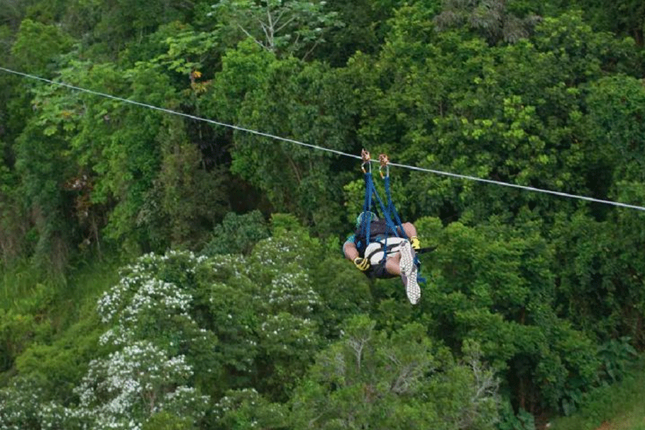 The Beast Zipline at Toro Verde Adventure Park | Book Now | Alikeimage
