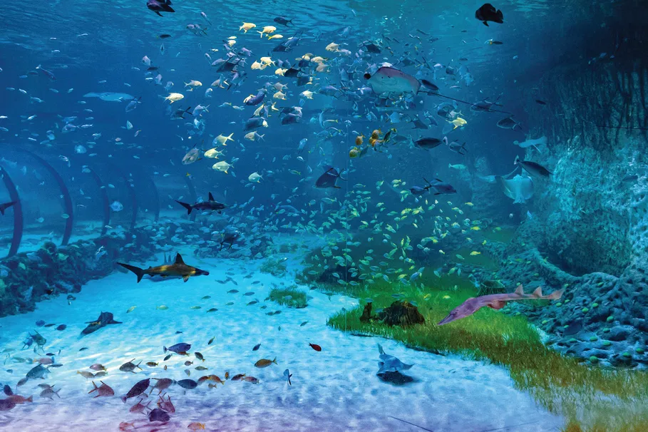 The National Aquarium | Book Now | Alikeimage