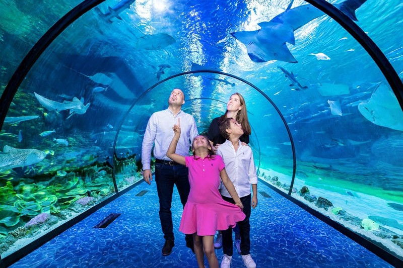 Yas Island Boat Tour (75 Min)