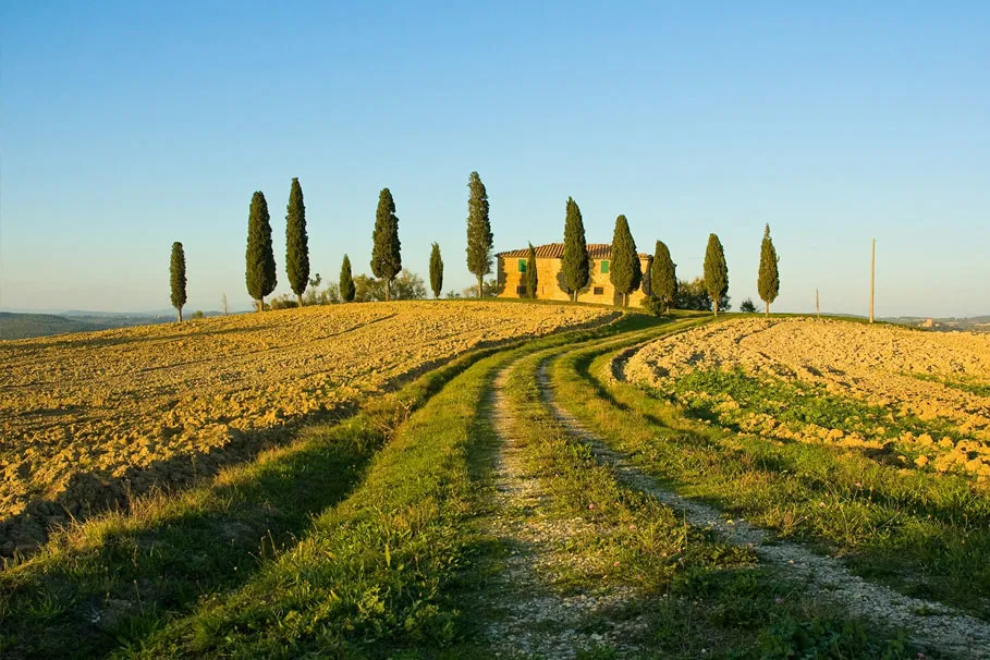 The ultimate foodie tour of Val d'Orcia from Florence | Tours & Travel Packages | Alikeimage