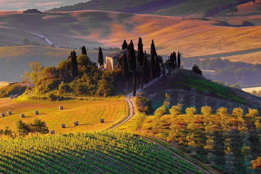 The ultimate foodie tour of Val d'Orcia from Florence | Tours & Travel Packages | Alikeimage
