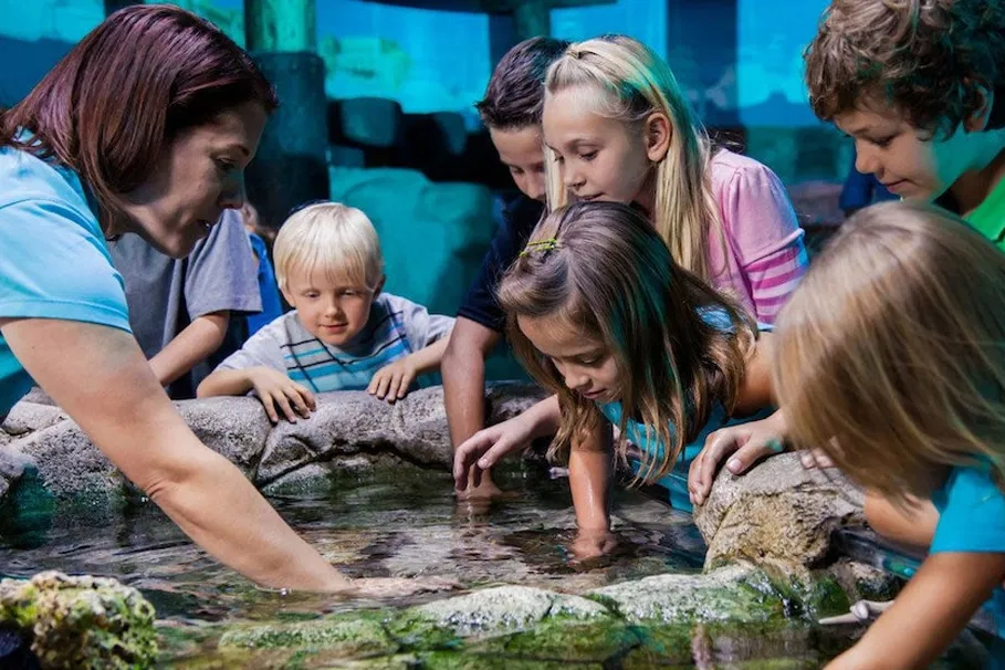 Tickets to SEA LIFE Orlando Aquarium | Tours & Travel Packages | Alikeimage
