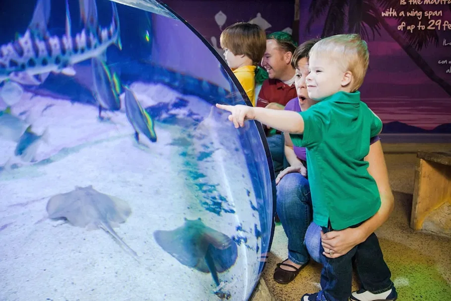 Tickets to SEA LIFE Orlando Aquarium | Tours & Travel Packages | Alikeimage