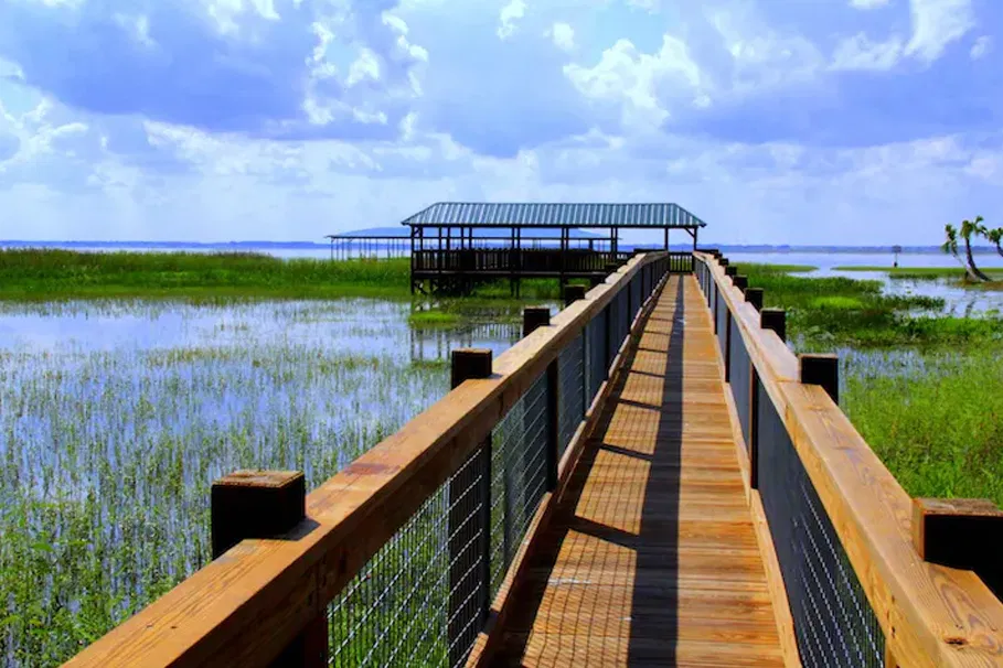 Ultimate Wild Florida adventure package | Tours & Travel Packages | Alikeimage