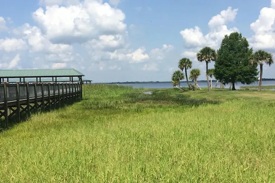 Ultimate Wild Florida adventure package | Tours & Travel Packages | Alikeimage