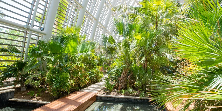 Umm Al Emarat Park | Book Now | Alikeimage