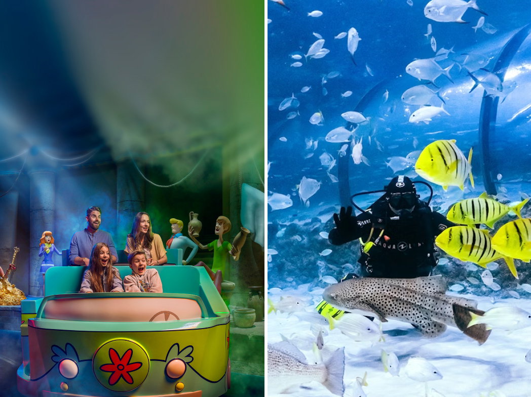 Warner Bros & National Aquarium Supersaver