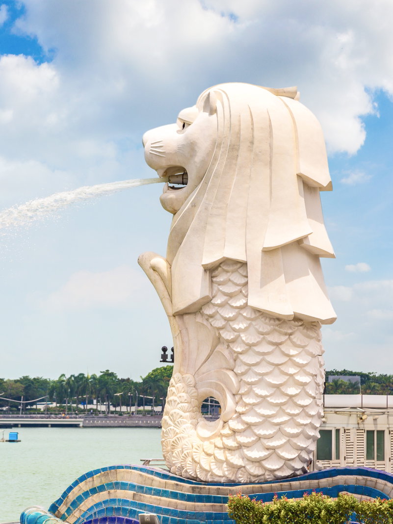 Discover singapore city