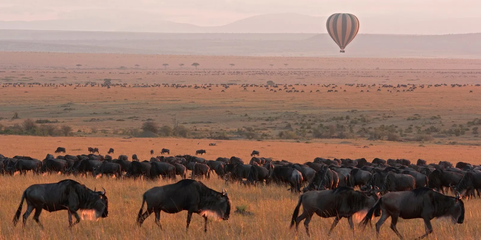 4 Kenya 8 July September Best Destinations to Travel in 2025