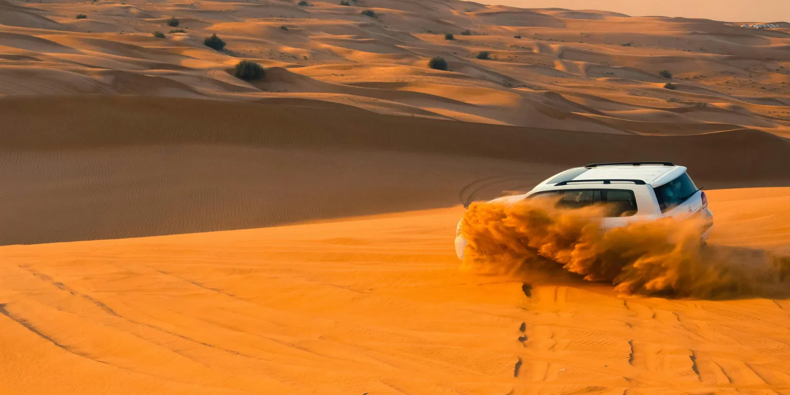 3 Desert Safari   Dubai   Alike