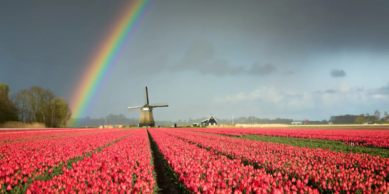 2 Netherlands (amsterdam) 9 April June Best Destinations to Travel in 2025