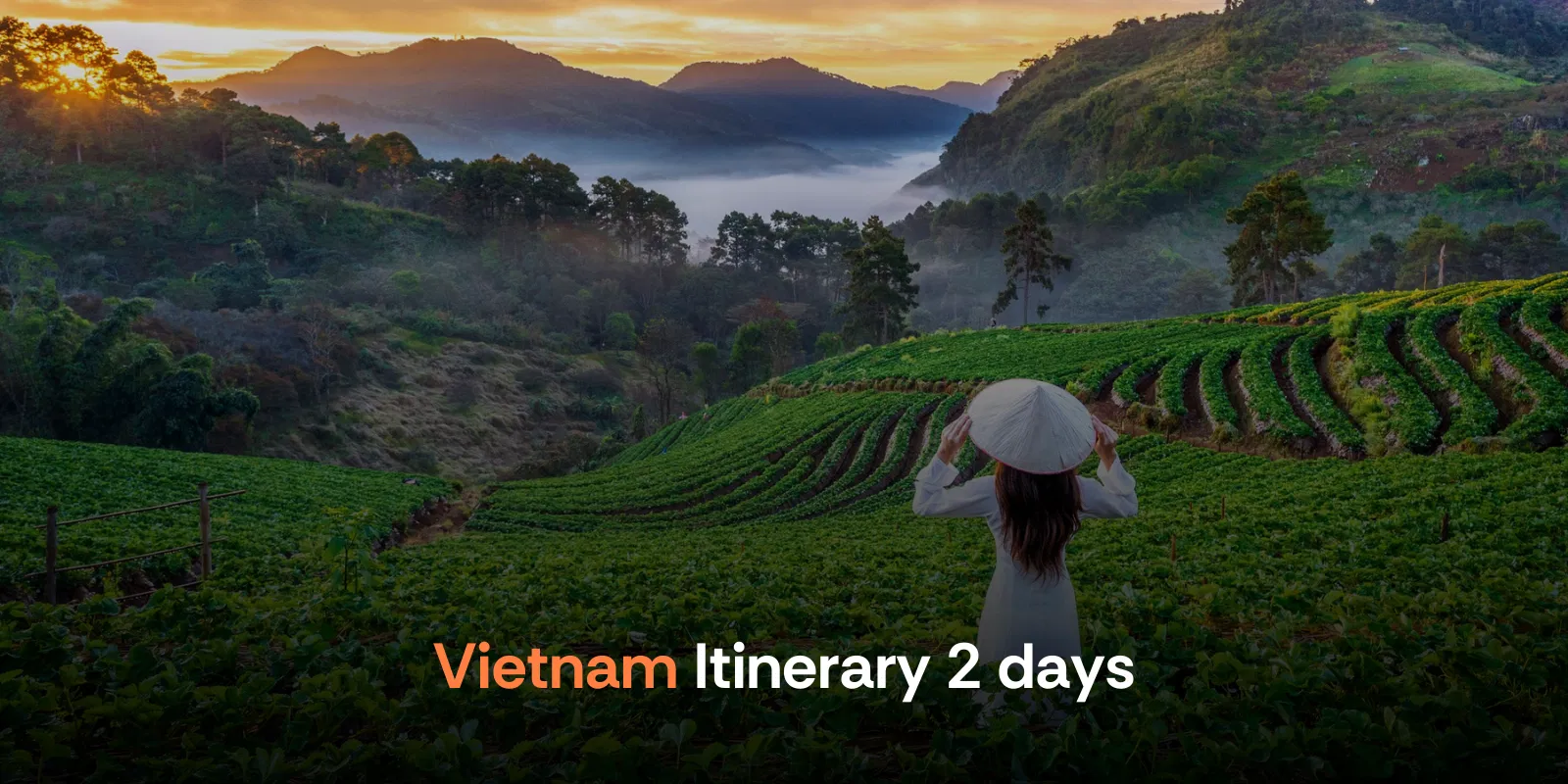 Vietnam Itinerary 2 Days   Alike