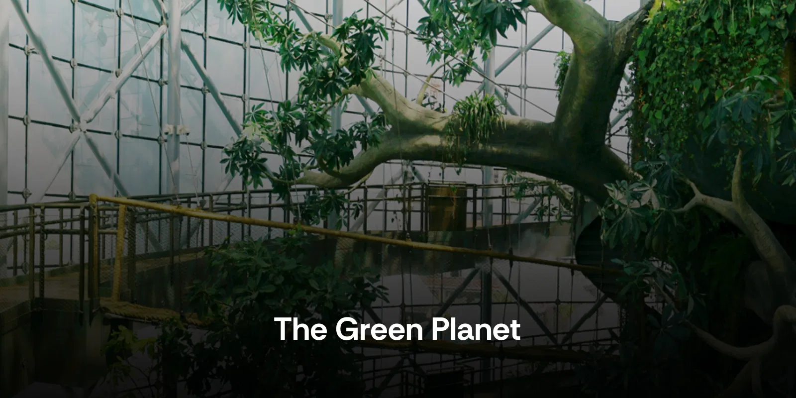 The Green Planet   Uae  Alike