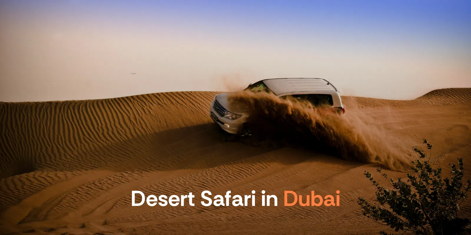 Desert Safari   Dubai   Alike