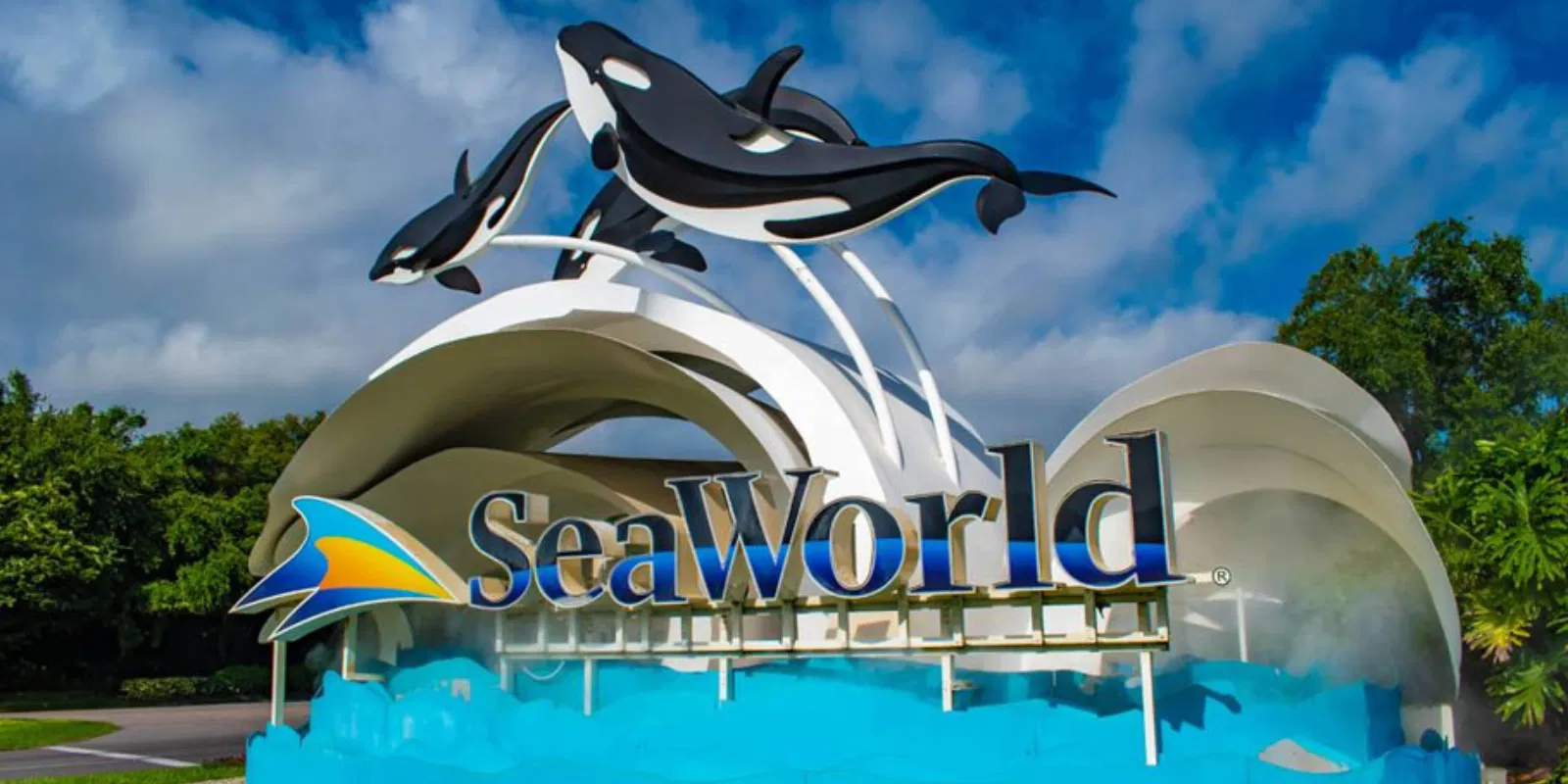 What’s Inside Sea World Abu Dhabi on Yas Island
