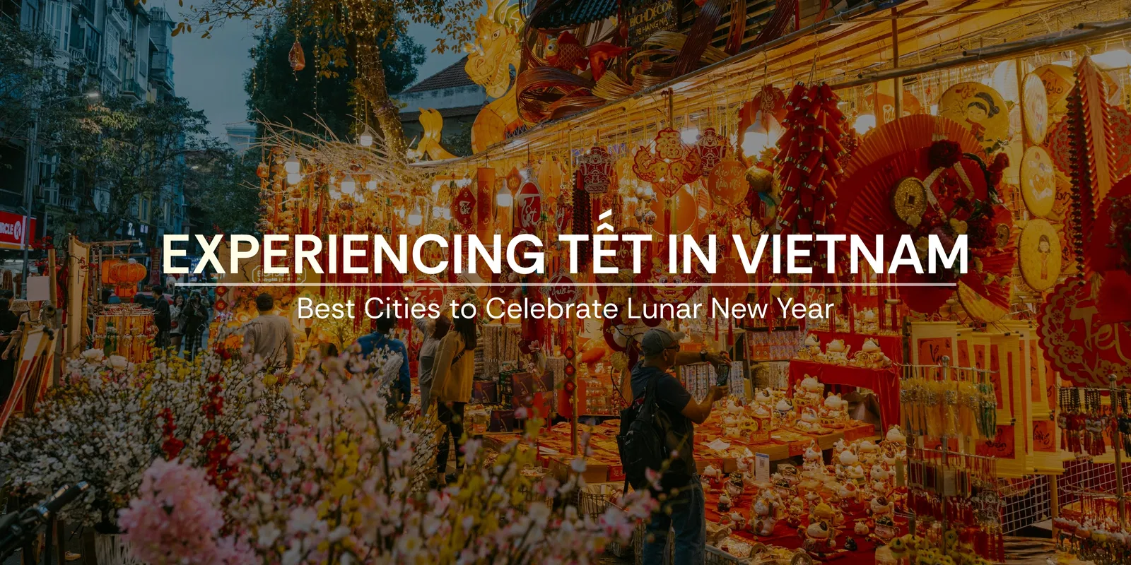 Experiencing Tết in Vietnam Best Cities to Celebrate Lunar New Year