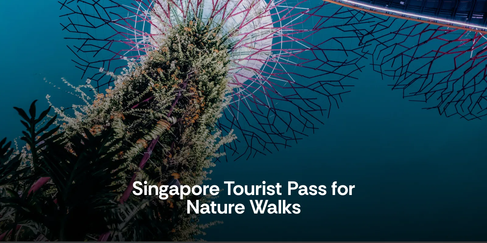 Singapore Tourist Pass for Nature Walks in Singapore