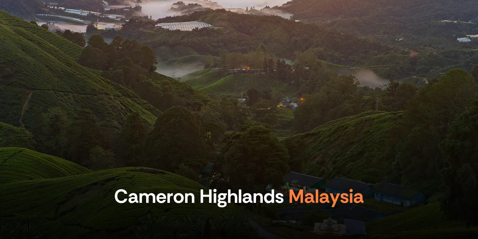 Cameron Highlands Malaysia’s Winter Escape Malaysia Alike