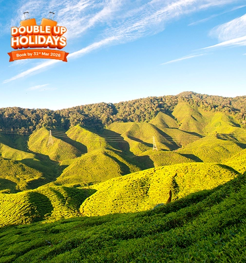 Cameron Highlands Mobile