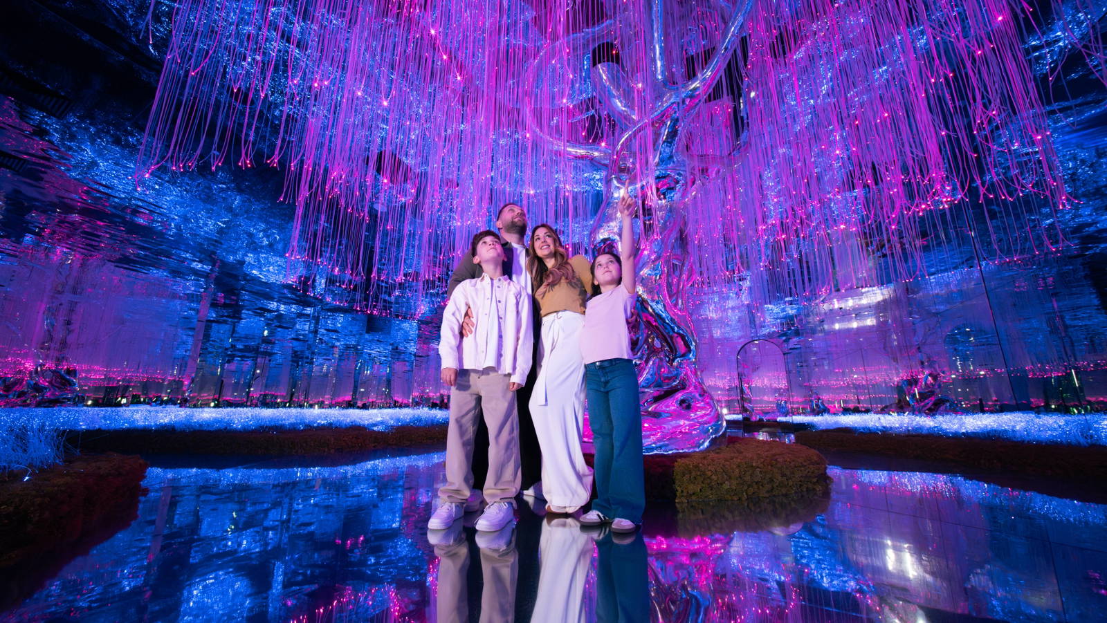 Get the AYA Family Pass for only AED449