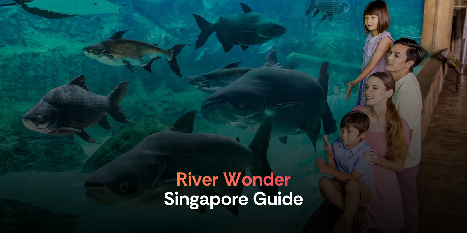 River Wonder   Singapore Tourist Pass