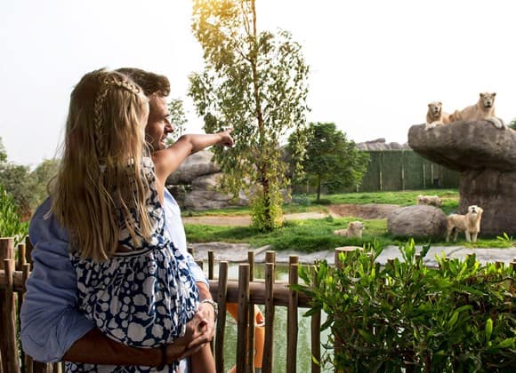 Kids go free at Dubai Safari Park
