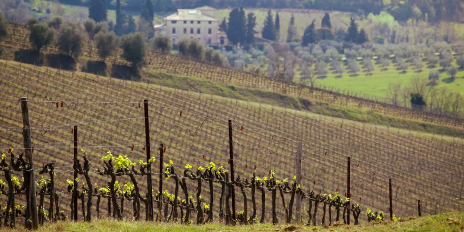 5 Italy (tuscany) 9 April June Best Destinations to Travel in 2025