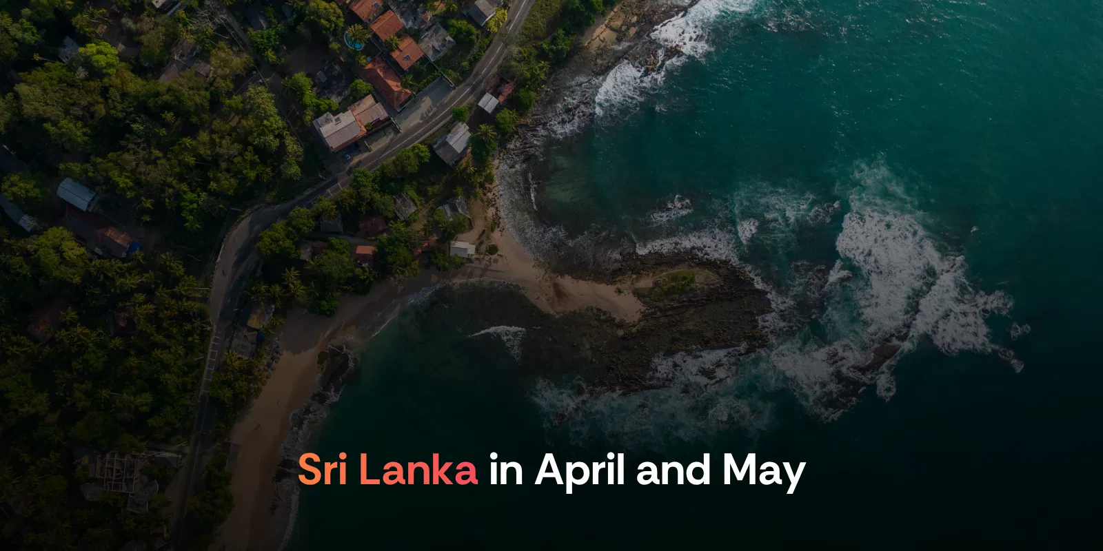 Sri Lanka in April and May Colombo, Kandy, Ella and the Nuwara Eliya Tea Trail