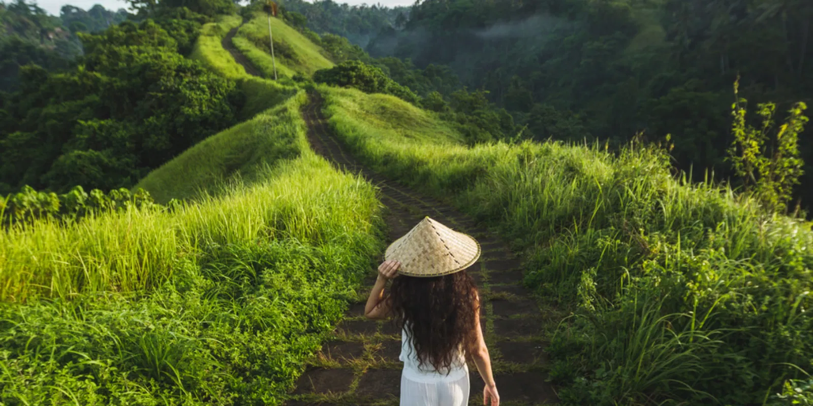 77   Thank God It's Festival   Tgif May 24–25, 2025