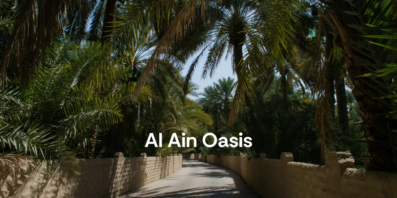 Al Ain Oasis   Abu Dhabi   Alike