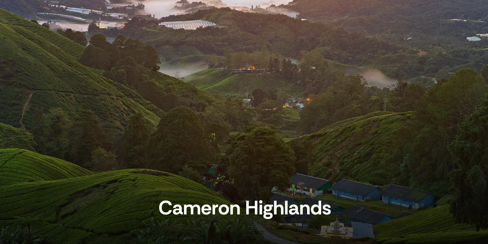 Cameron Highlands  India Like Weather Without the Long Flight