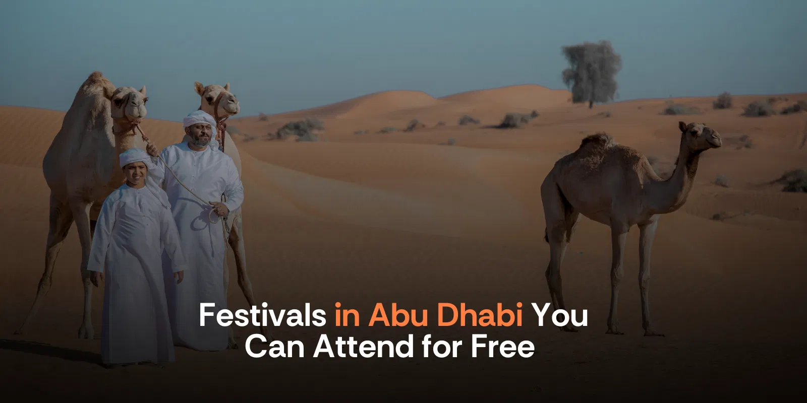 Festivals in Abu Dhabi You Can Attend for Free   Alike